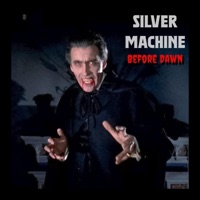 Album cover for Before Dawn by Silver Machine