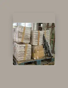 聆聽 SPOOKY MELODY、觀看音樂影片、閱讀小傳、查看巡演日期等！