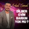 Dilber Evin Barkın Yok Mu ? artwork