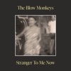 Stranger to Me Now - Single, 2024