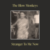 Stranger to Me Now - The Blow Monkeys