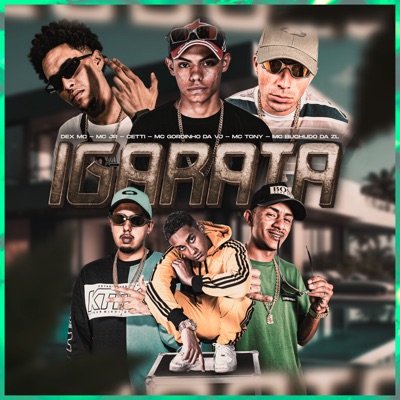 Igarata - Single