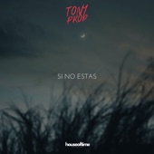 Si No Estas (Iñigo Sped) artwork