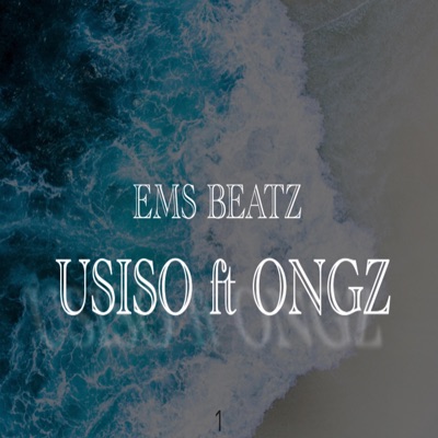 USISO (feat. ONGZ) [Radio Edit] - Single