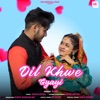 Dil Khwe Gyayi - Single