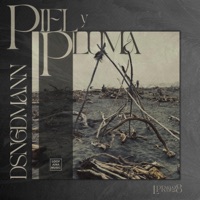 Piel y Pluma - DSNGDMANN.
