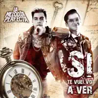 Si Te Vuelvo A Ver