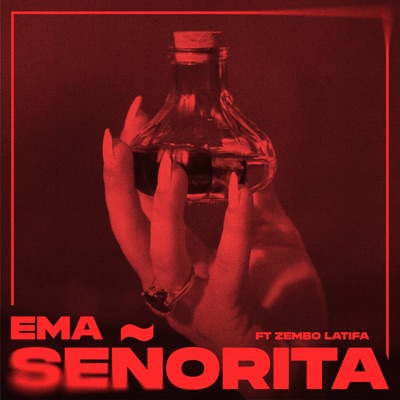Senorita (feat. Zembo Latifa) - Single