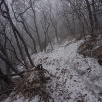 Give Up <3 - Single - Daelus