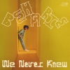 We Never Knew - Single