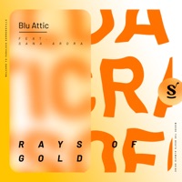 Rays of Gold (feat. Sana Arora) - Single - Blu Attic