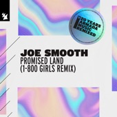 Promised Land (1-800 GIRLS Remix) artwork
