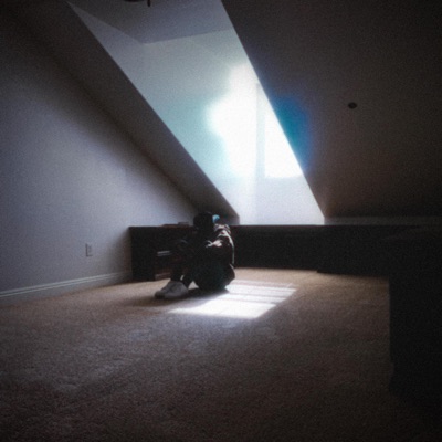 did I Lose You? - EP