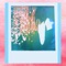 Sonogram - The Joshua Hill Experience lyrics