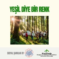 Yeşil Diye Bir Renk Var - Single - Sosyal Müzik