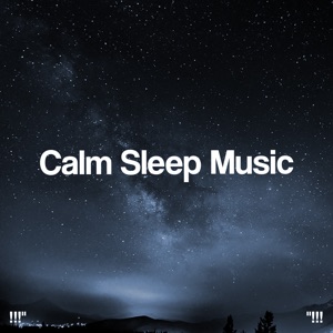Calm Sleep Music