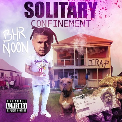 Solitary Confinement