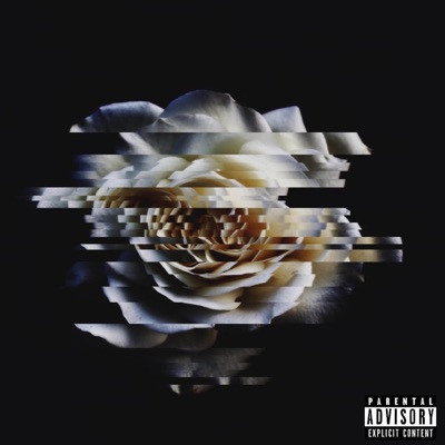 Never Did (feat. Adot) - Single