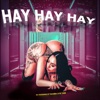 Hay Hay Hay - Single