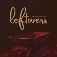 Leftovers (feat. Ssaru) - Single - Trish Njuguna