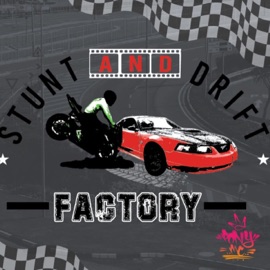Stunt & Drift Pony Mc