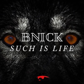 Such Is Life (Radio Edit) BNick