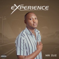My Experience - EP - MR ZUZ