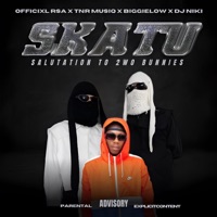 Skatu (feat. T&R Musiq, Biggey Low & Dj Niki) - Single - Officixl RSA