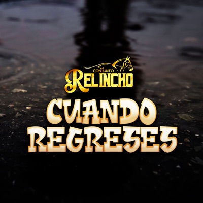 Cuando Regreses - Single