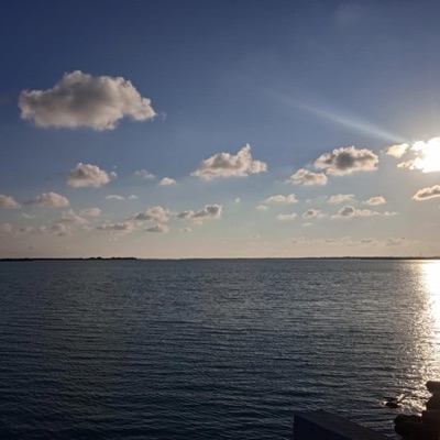 Me duele tu adiós (feat. Pequeño) - Single