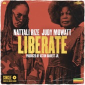 Liberate artwork