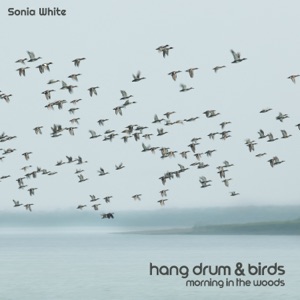 Hang Drum & Birds: Morning in the Woods (Nature Ringtones 2022)