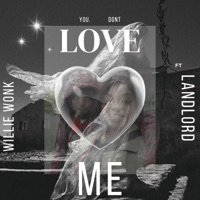You Dont Love Me (feat. Landlord) - Single - Willie Wonk
