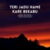 Teri Jadu Hame Kare Bekabu - Single