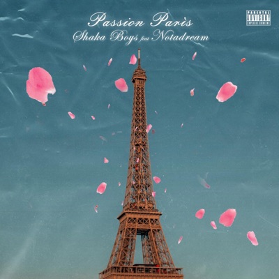 Passion Paris (feat. NotaDream) [Radio Edit] [Radio Edit] - Single