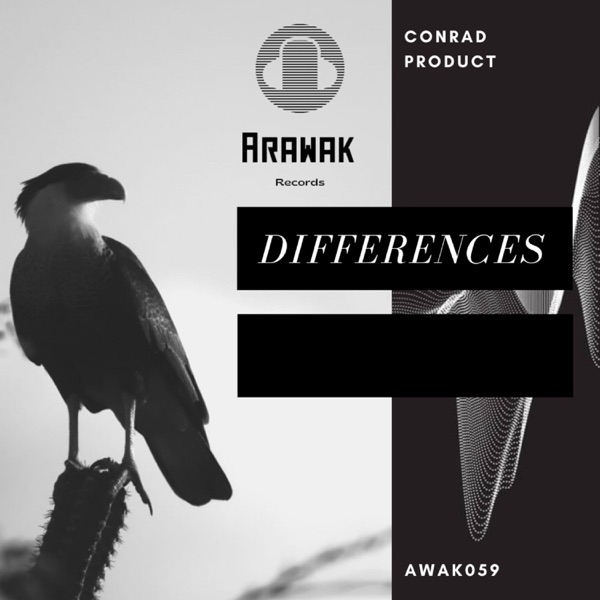 Differences - Single