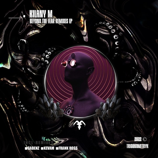 Beyond the Fear Remixes - Single