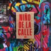 Niño de la Calle (Remix) - Single