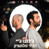 חתולים - Single