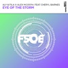 Eye of the Storm - Single