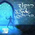 שני חיון