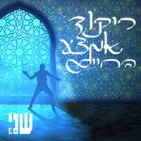 ריקוד אמצע החיים — שני חיון