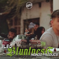 Bluntness - Single - Nando Produce & ELE O