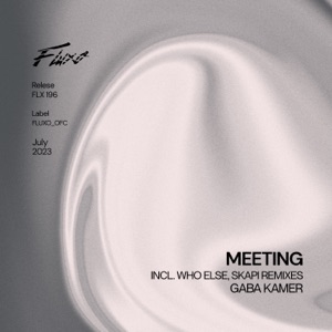 Meeting - Single