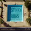 Vidéki lány (feat. Dorothea Hildebrand) - Stinky Bugs