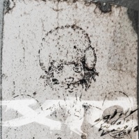 XTC FINAL (feat. Buffalobang & Eera) - Single - Sg Lily