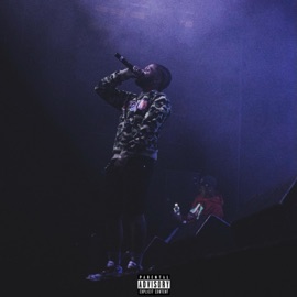Mo Money No Problems (feat. J Young MDK & Bizzie Made) Just Call Me Veto