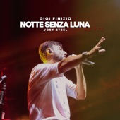 Notte Senza Luna (Joey Steel Remix) artwork