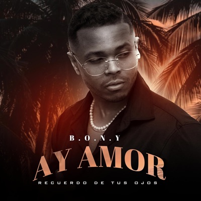 Ay Amor (Recuerdo de tus ojos) (feat. Polancgraphs) - Single