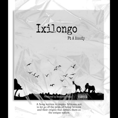 Ixilongo (feat. A Hoody) - Single